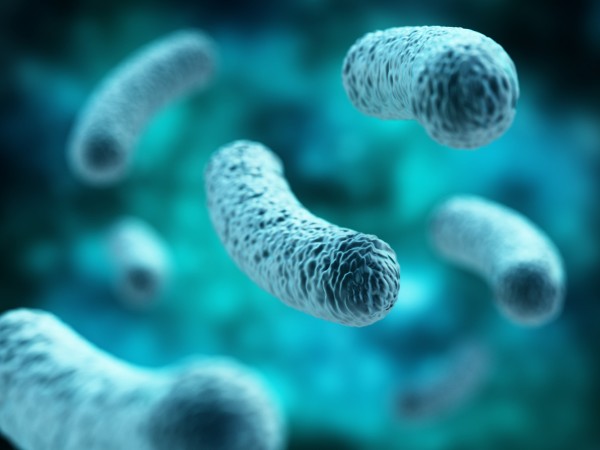Legionnaires' Disease Awareness Fostering