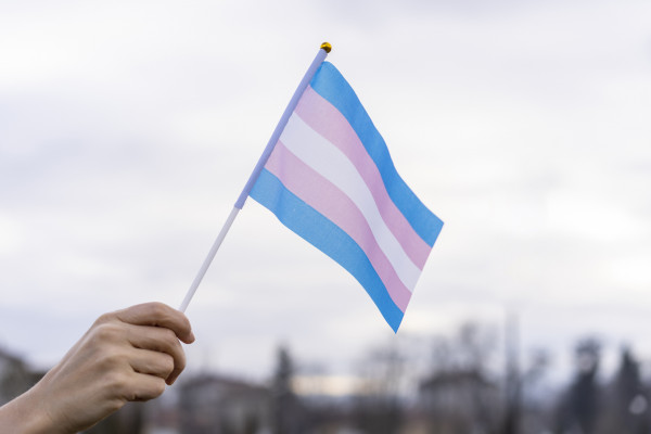 Transgender Diversity Awareness Fostering
